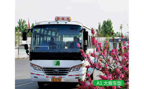 增駕大型客車駕照A1本